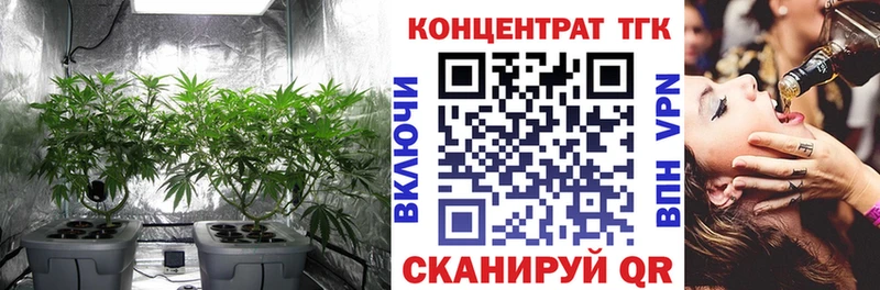 цены Макарьев Дистиллят ТГК THC oil