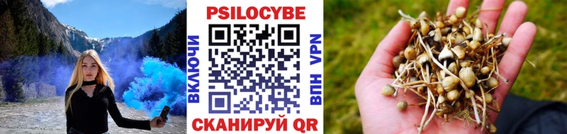 где купить наркоту  Макарьев  Псилоцибиновые грибы MAGIC MUSHROOMS 